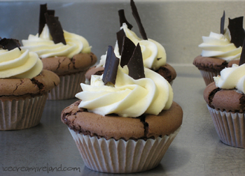 Chocolate cup cake