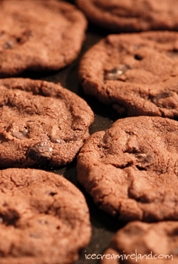 Korova Cookies 