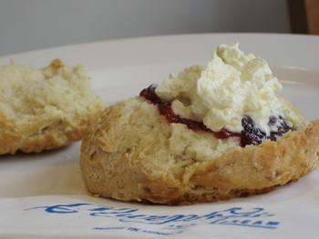 Scone with Jam and Cream