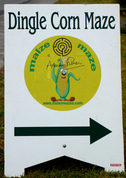 Dingle Corn Maze