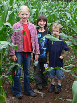 Kids in corn maze