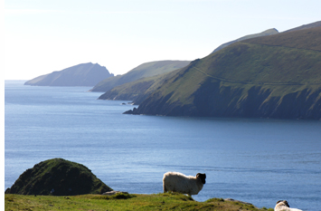 Blasket Islands