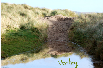 Ventry