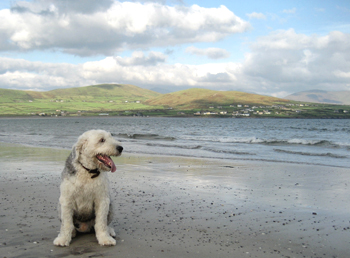 Ivan on Beach