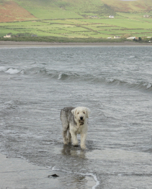 Ivan in sea