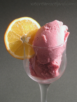 Mulled Wine Sorbet