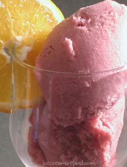 Mulled Wine Sorbet Closeup