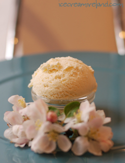 Manuka Honey and Orange Blossom Ice Cream