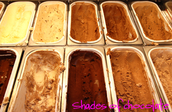 16 Shades of Chocolate