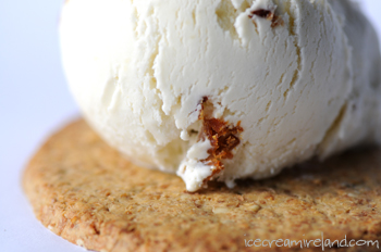 Blue Cheese and Caramelised Shallot Ice Cream