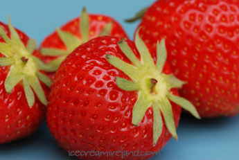 Strawberries Closeup