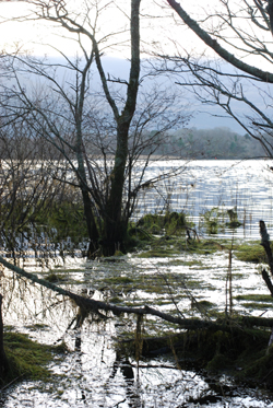 Killarney Lake