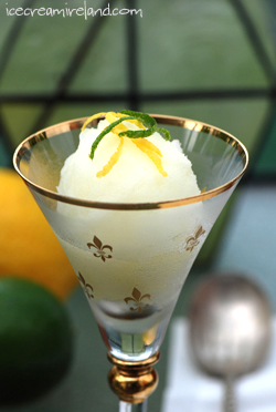 Lemon Lime Sorbet