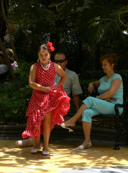 Flamenco girl