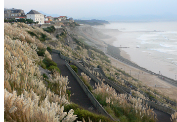 Biarritz beach