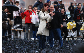 Pidgeons couple laughing