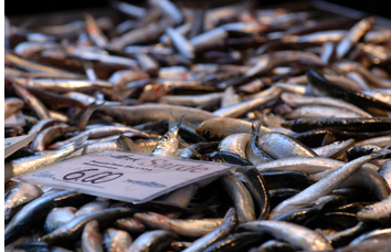 Sardines in Rialto market